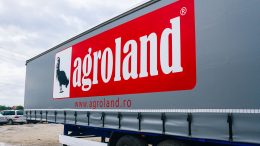 Personalizare prin vopsire